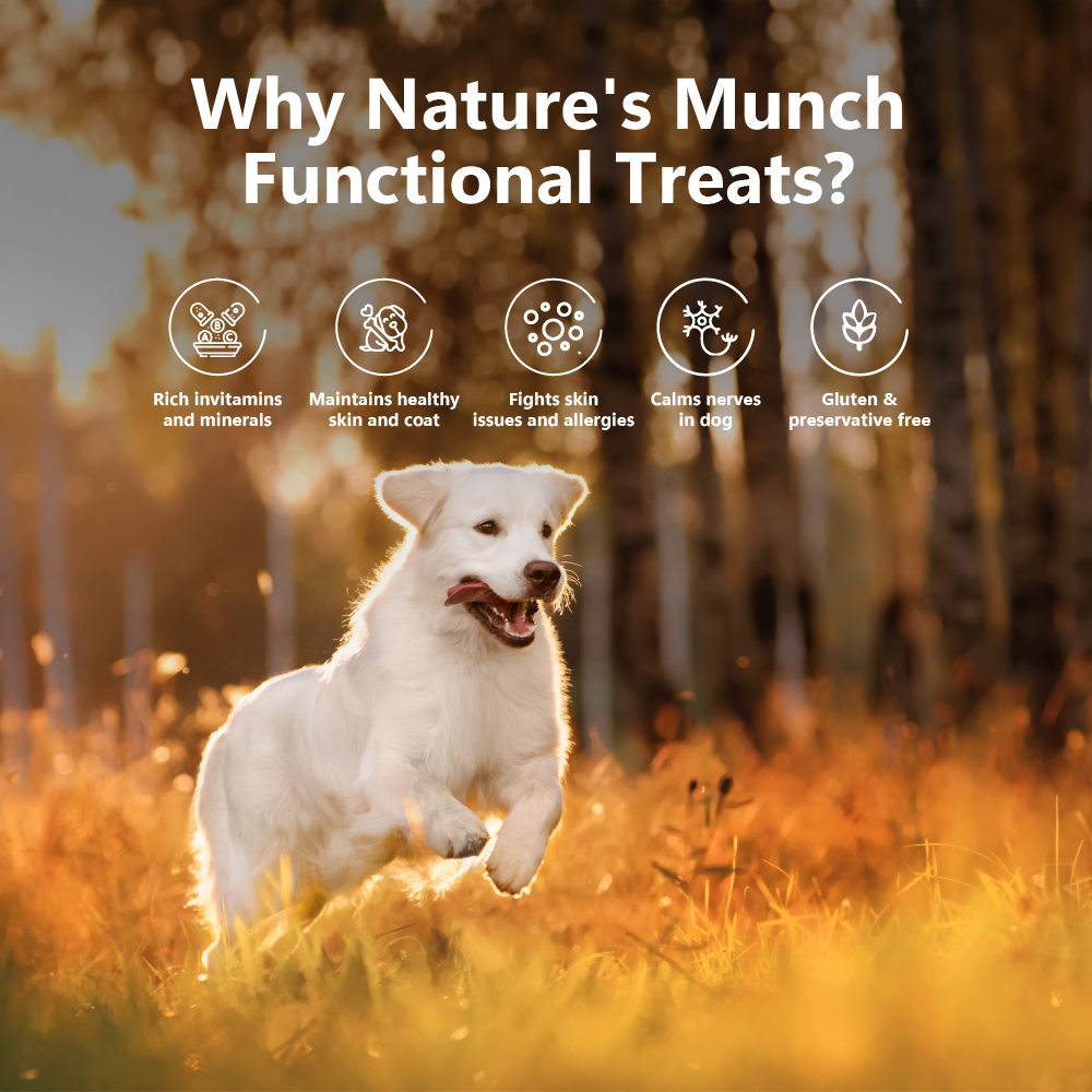 Pawfect Foods - Wholesale Pet Treats - Dog - Pawfect Nature's Munch Freeze-Dried Cheese Skin Care Treats for Dogs| 100% Natural| High Protein, Low Fat| 8 Calories per Treat| Grain-Free| Healthy Training Treats (75g/2.65oz)3
