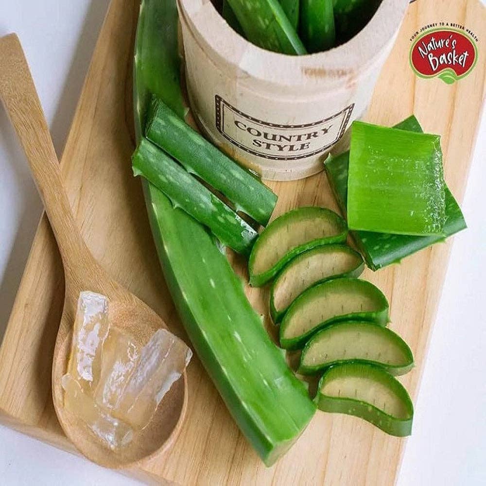 Natures Basket - Wholesale Oral Supplement/Vitamin - Natures Basket Aloe Vera (Aloe Barbadensis) 900mg 60 Capsules3