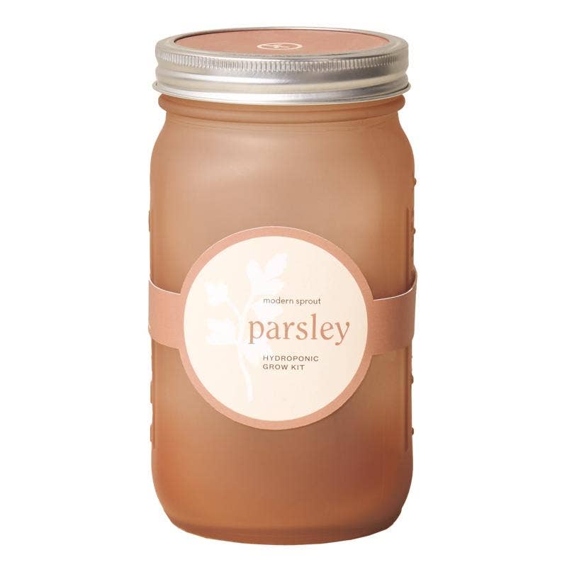 Everyday Supply Co - Wholesale Plant Seeds - Modern Sprout Parsley Grow Kit 1pk - Case of 60