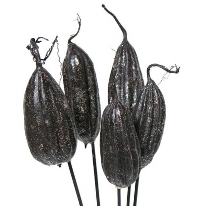 Botanico Ltd. - Wholesale Dried/Pressed Flowers - Jhinga Pods3