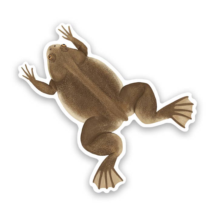 African Clawed Frog Vinyl Sticker Decal for wholesale by Proper Wolf
