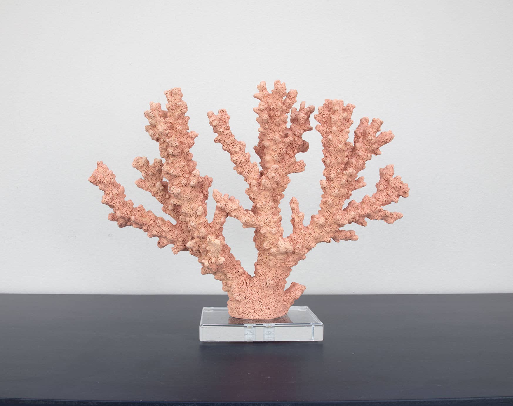 Lillian Home - Wholesale Decorative Tabletop Object - Coral Burst4