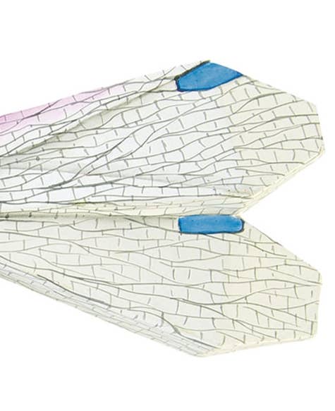 C&F Home - Wholesale Decorative Figurine - SALE  Dragonfly Hanging Fig.1