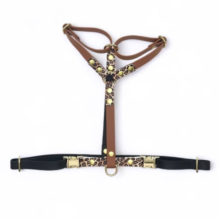 Splash By Happy - Wholesale Pet Collar - Dog - 🐆 WILD Collection 🐆11