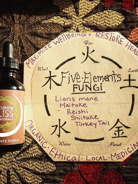 Five Elements Fungi for wholesale by Rainbow Bliss Botanicals