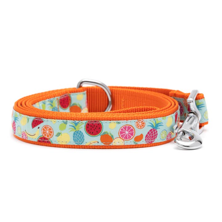 Tutti Frutti Lead for wholesale by The Worthy Dog