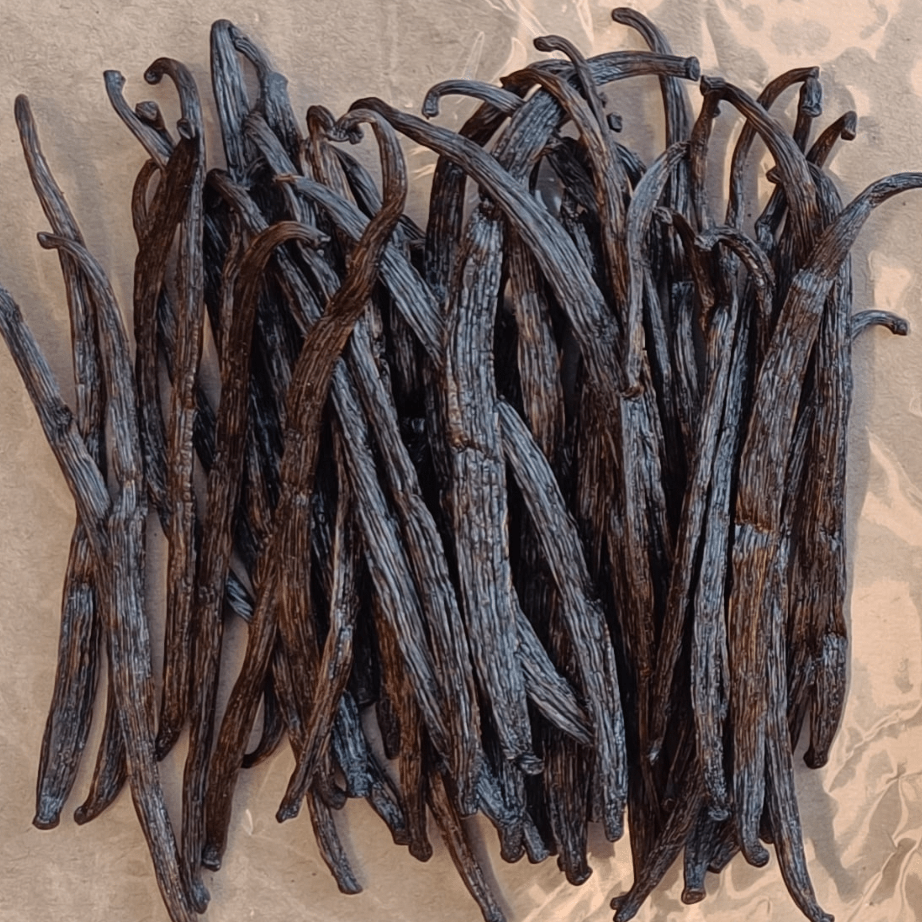 Vanissa - Wholesale Vanilla/Fruit Extract - Special Offer - 5 kg of Vanilla - Clearance - Limited1
