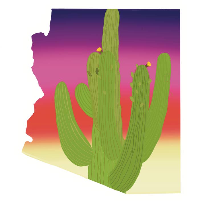 Adhesivo de vinilo Arizona Sunset Cactus para venta al por mayor de Handmade By Myles