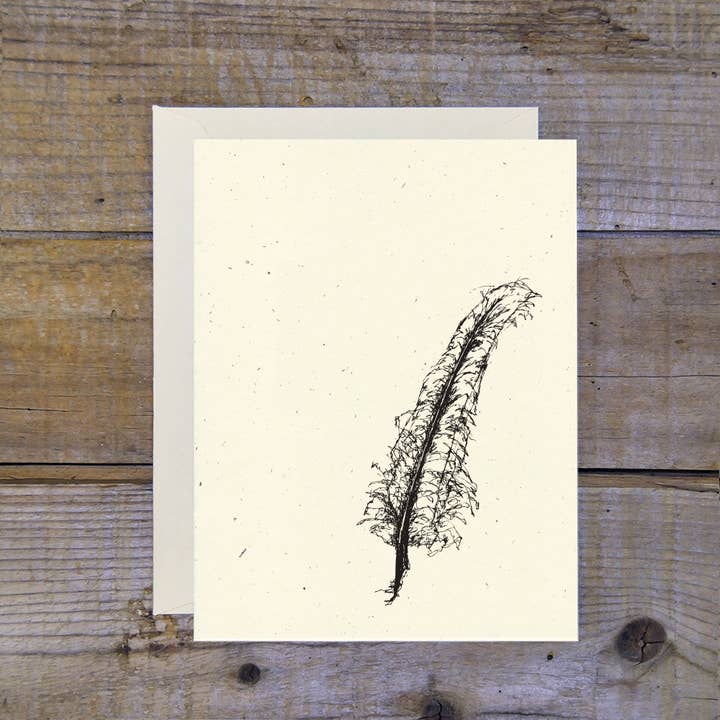 Feather Quill Card for wholesale by Troy Cloth & Paper