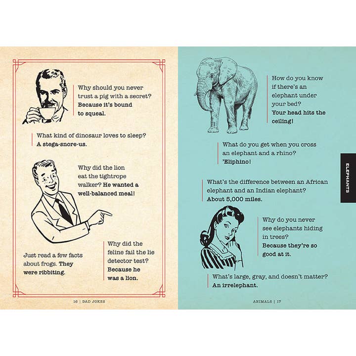 Insight Editions - #1 Pop Culture Publisher - Wholesale Humor Book - Dad Jokes: Hall of Shame4