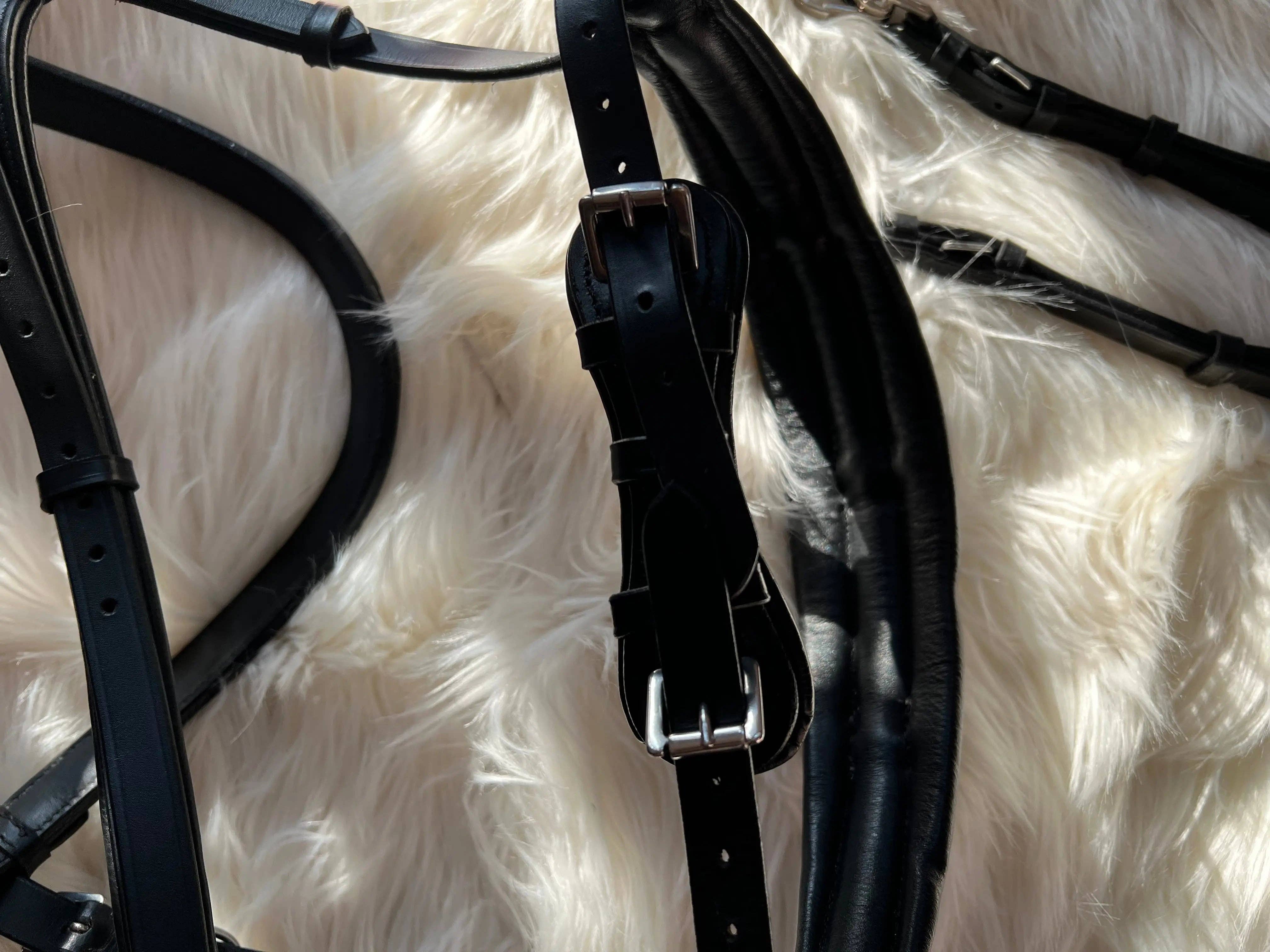 CR Harmonyequestrian - Wholesale Horseback Riding Gear - Full-blooded multi-fence4