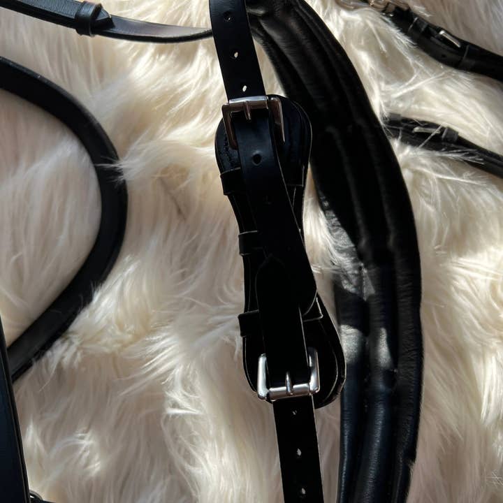 CR Harmonyequestrian - Wholesale Horseback Riding Gear - Full-blooded multi-fence4