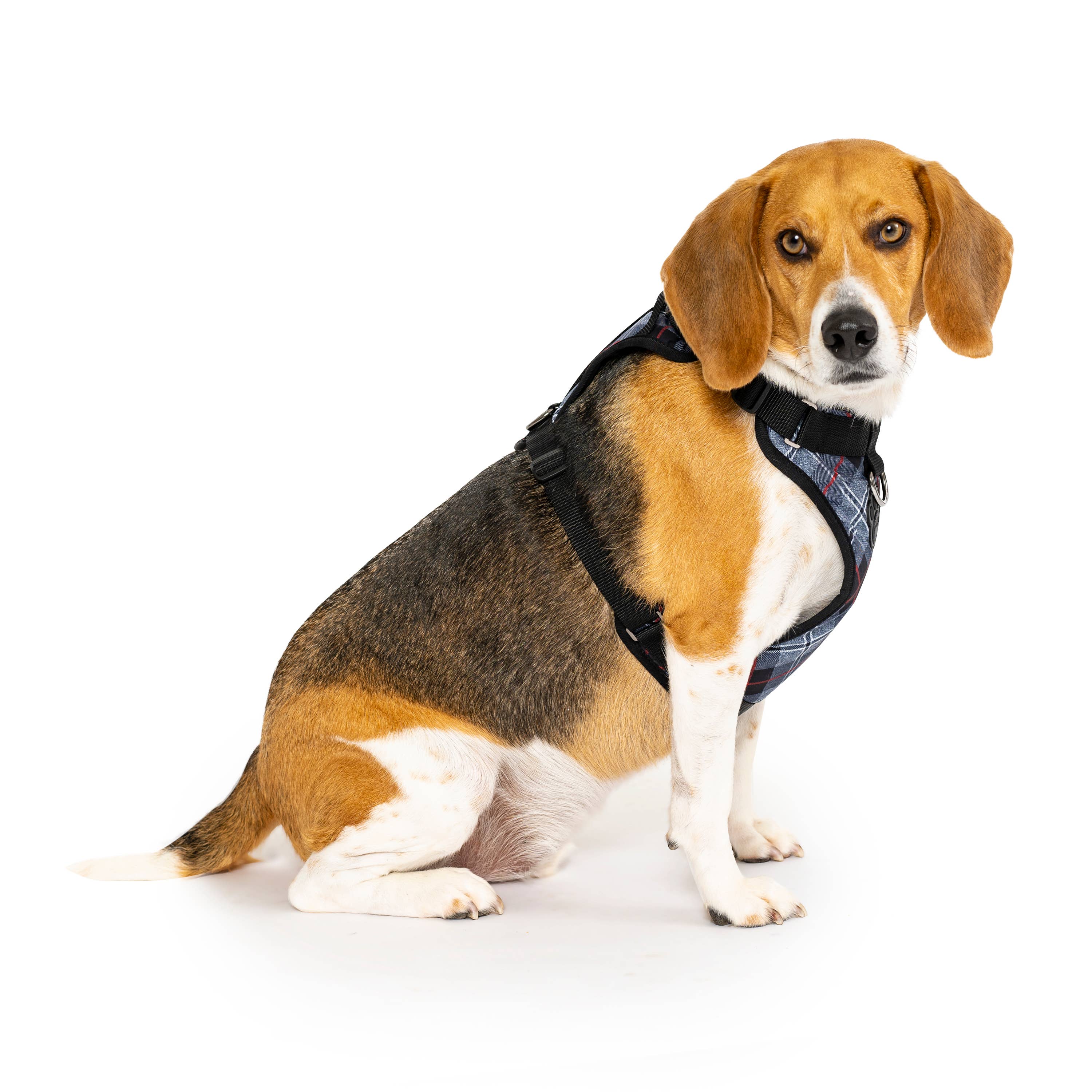 Canada Pooch – wholesale Pet harness – Dog – Everything Harness- No-Pull Dog Harness (Water Resistant)2