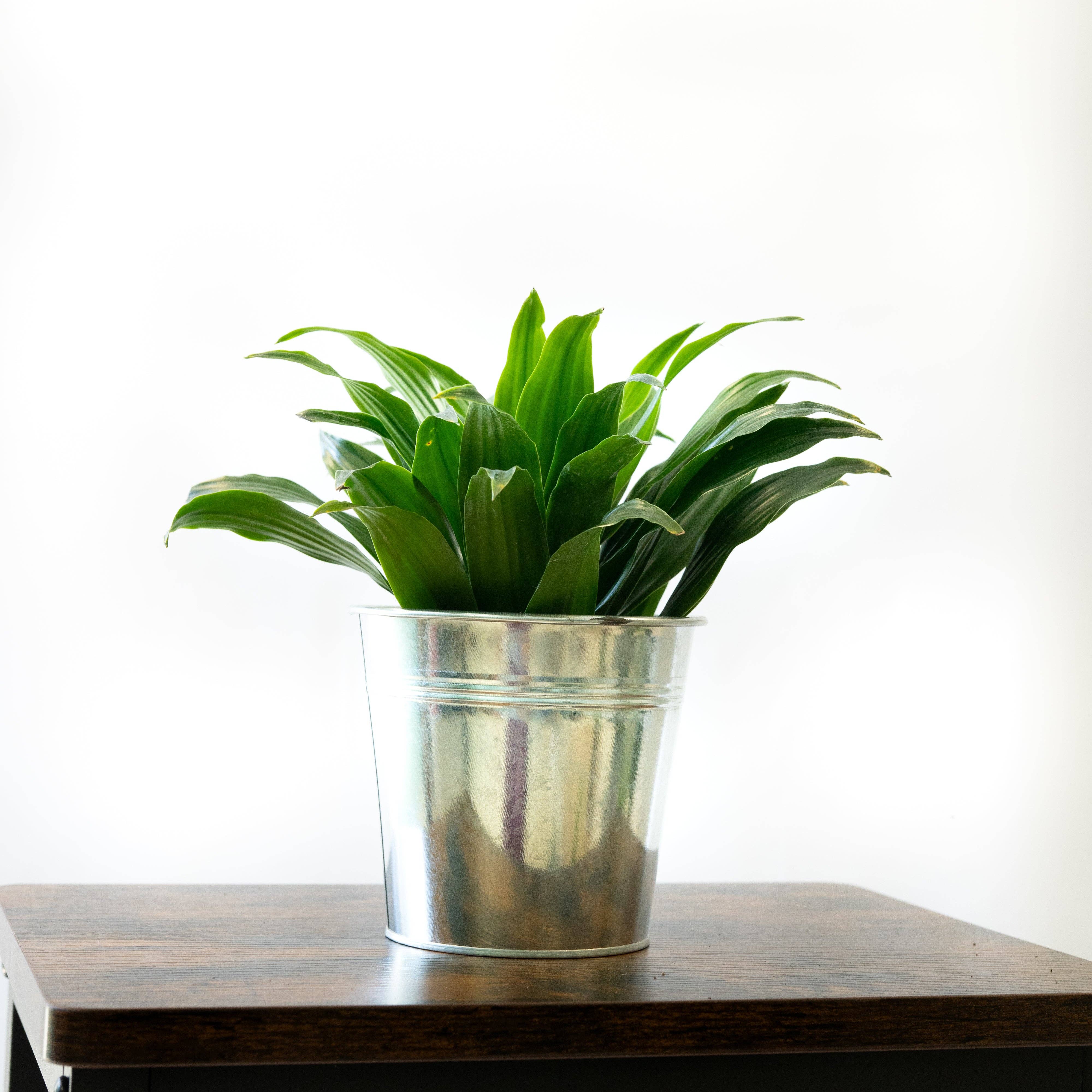 SMPLY - Wholesale Plant Pot - Cube Flowerpot1