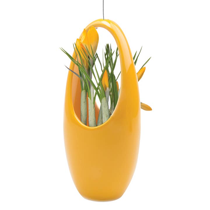 Chive - Vente Jardinière suspendue - Suspension pour plantes grasses4