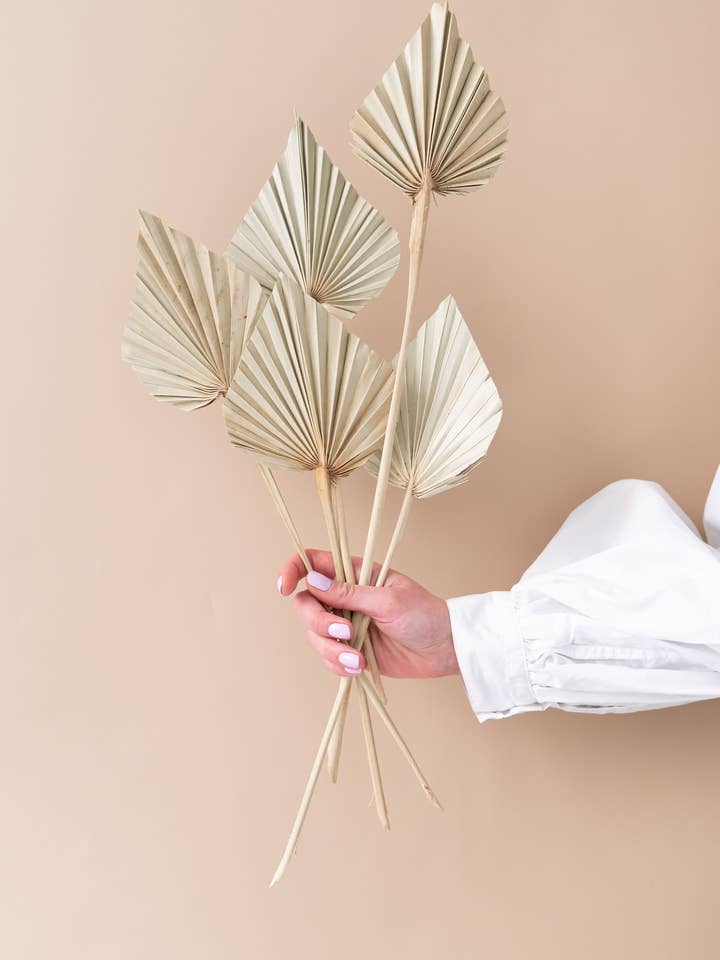 Trockenblumen Palm Spear Natur 5 Stück für den Großhandel von Lalovliy