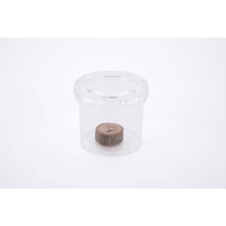 Commotion – wholesale Magnifying glass – Clear Bug Viewer - Translucent Colour Bug Viewers - Magnifier - Nature