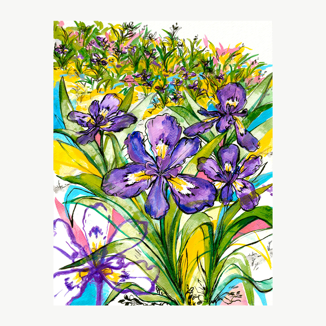 Rebekah Evans Art – wholesale Konsttryck – Skriv ut - "Dvärgkammade irisar"0