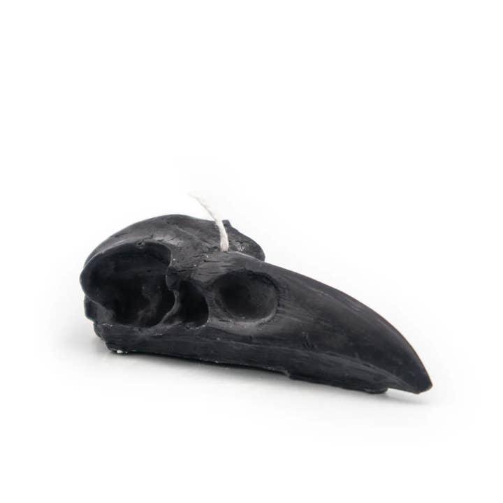 RAVEN SKULL | PILLAR CANDLE and other Purchase Wholesale unscented white pillar candles. Free Returns & Net 60 Terms on Faire trending on Faire.