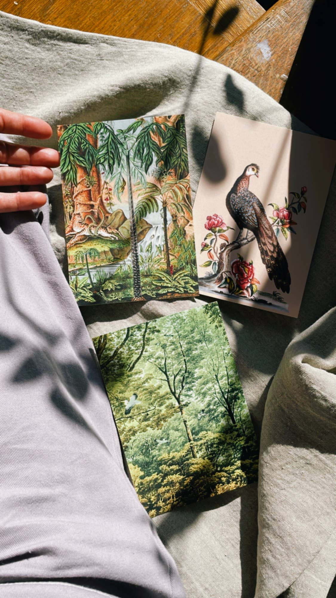 30x40 - Wholesale Postcard - Golden Age Postcard3