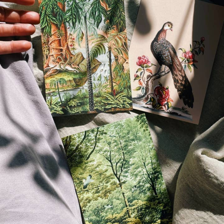 30x40 - Wholesale Postcard - Golden Age Postcard3