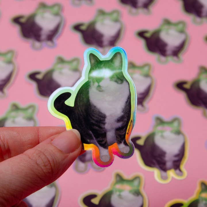 Yikes Design - Vente Autocollant - Autocollant drôle de chat Lazer Booty (imperméable et résistant aux UV)