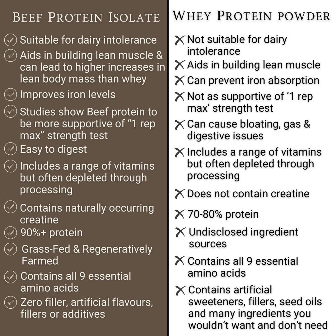 APE Nutrition – wholesale Protein/superfood powder – Grass-Fed Beef Protein | Raw Cacao & Maple Sea Salt3