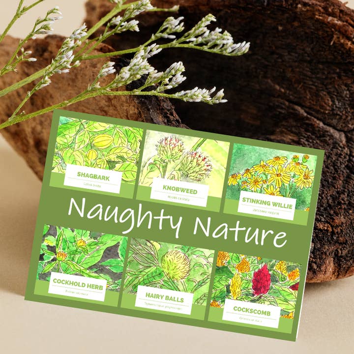 Seeds with Love – wholesale Everyday greeting card – Greeting card with a gift of seeds - Naughty Nature