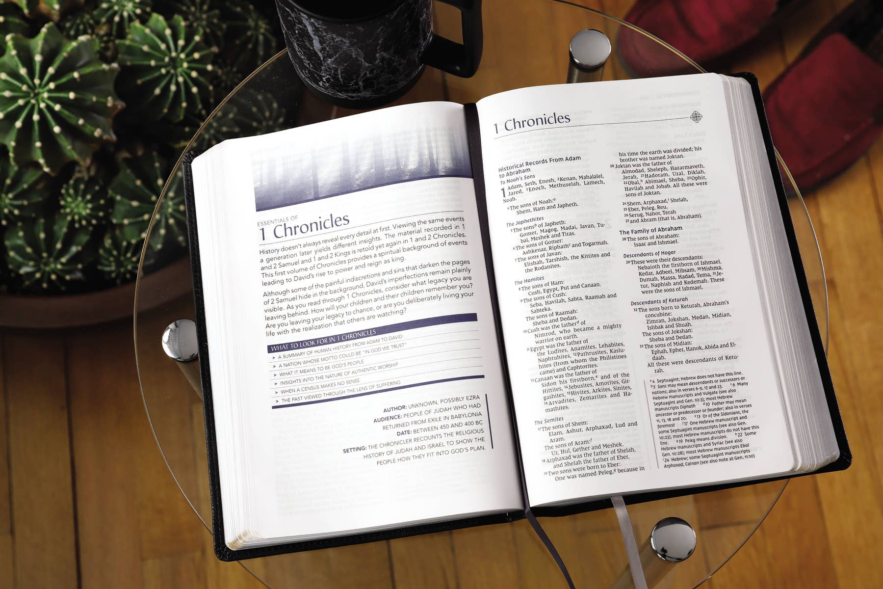 HarperCollins Christian Publishing - Wholesale Religion - NIV Men's Devotional Bible, Large Print, Leathersoft Black6