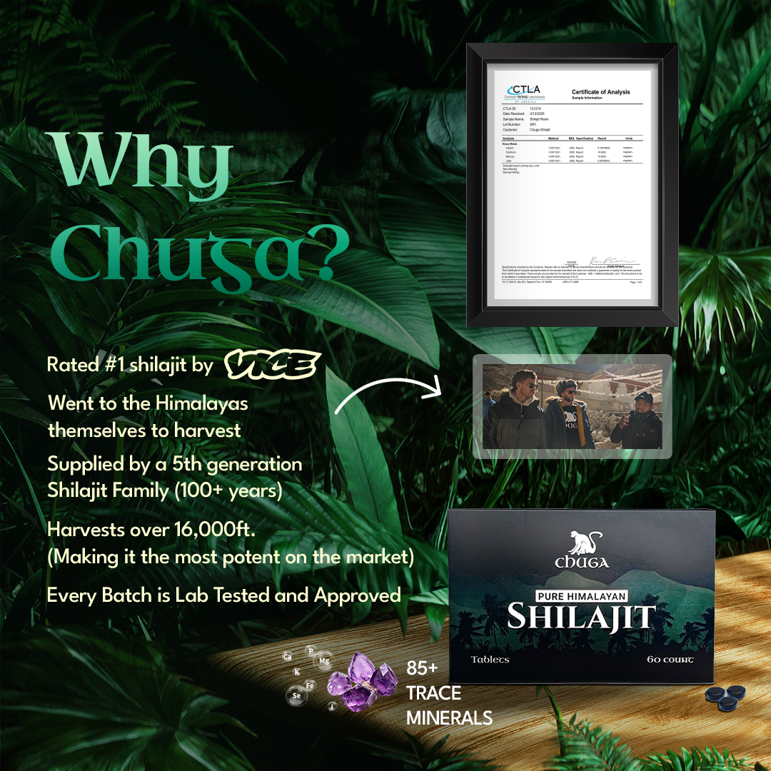 Chuga Shilajit – wholesale Oralt tillskott/Vitamin – Shilajit-tabletter2