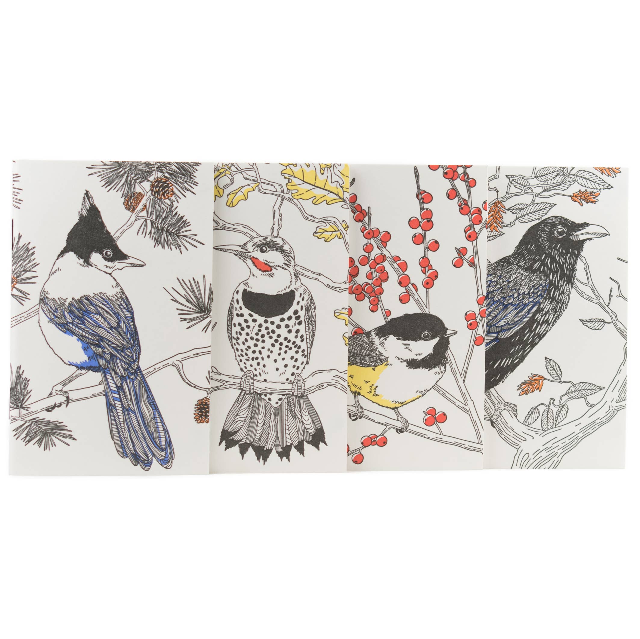 Porchlight Press Letterpress - Wholesale Notitieboekje - Common Raven Pocket Notitieboek - West Coast Birds4