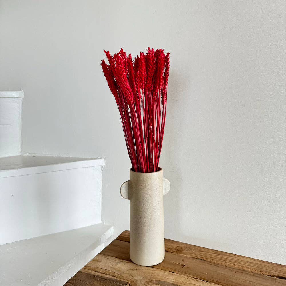 Flowrette - Wholesale Dried/Pressed Flowers - Red wheat boot0