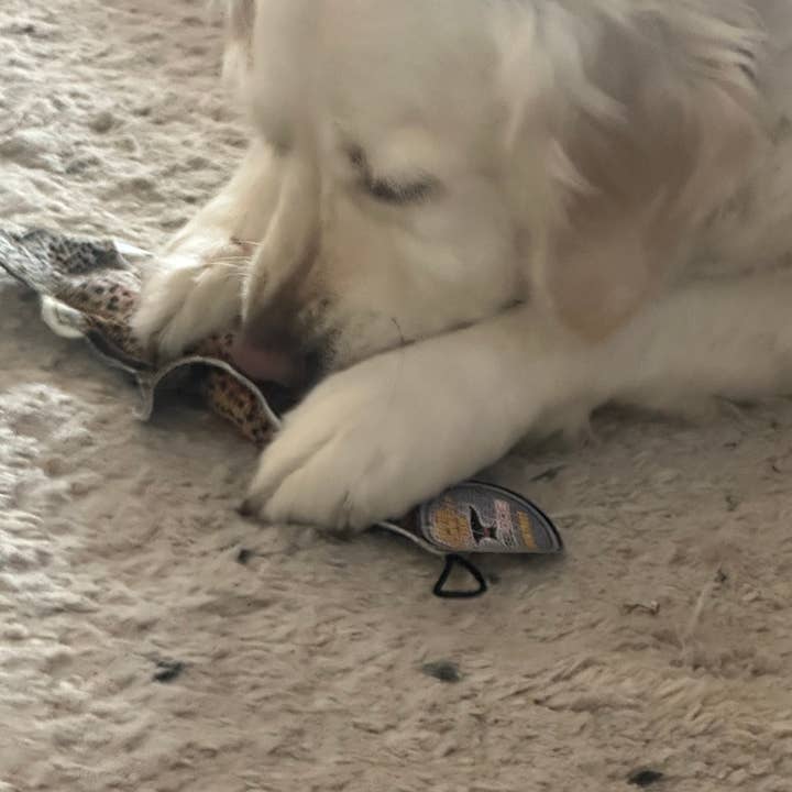 STEELDOG USA LLC - Wholesale Pet Plush Toy - Dog - Denim Rainbow Trout2