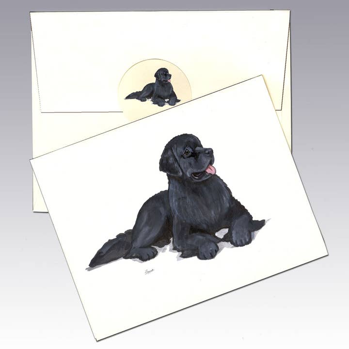 Newfoundland Note Cards for wholesale by Zeppa Studios
