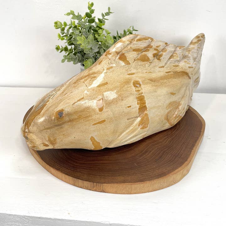 STONE FISH SCULPTURE, Hand Carve Stone Fish, Wood Fish Sculpture, Petrified Wood for wholesale by baligood