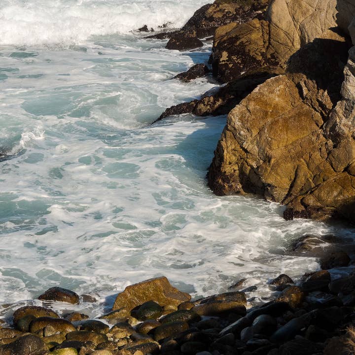 Lover's Cove for wholesale by Tommy's Print Shop