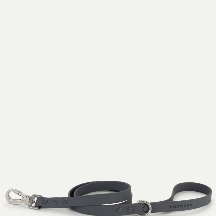 maxbone - Vendita all'ingrosso Guinzaglio - Cani - Guinzaglio per cani Hazel