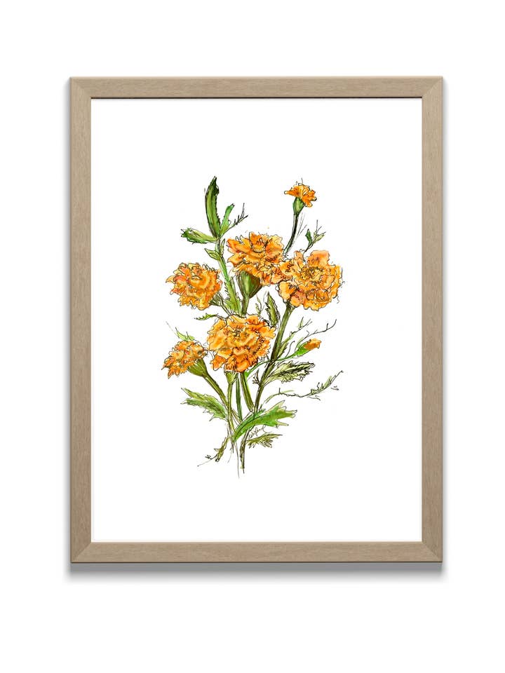 Marigold Watercolor - Original Art Print for wholesale by Locksley Workshop