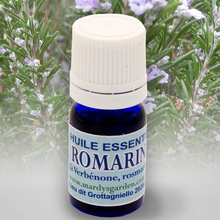 Mardys Garden – wholesale Eterisk olja – Ekologisk rosmarin Verbenone korsikansk eterisk olja