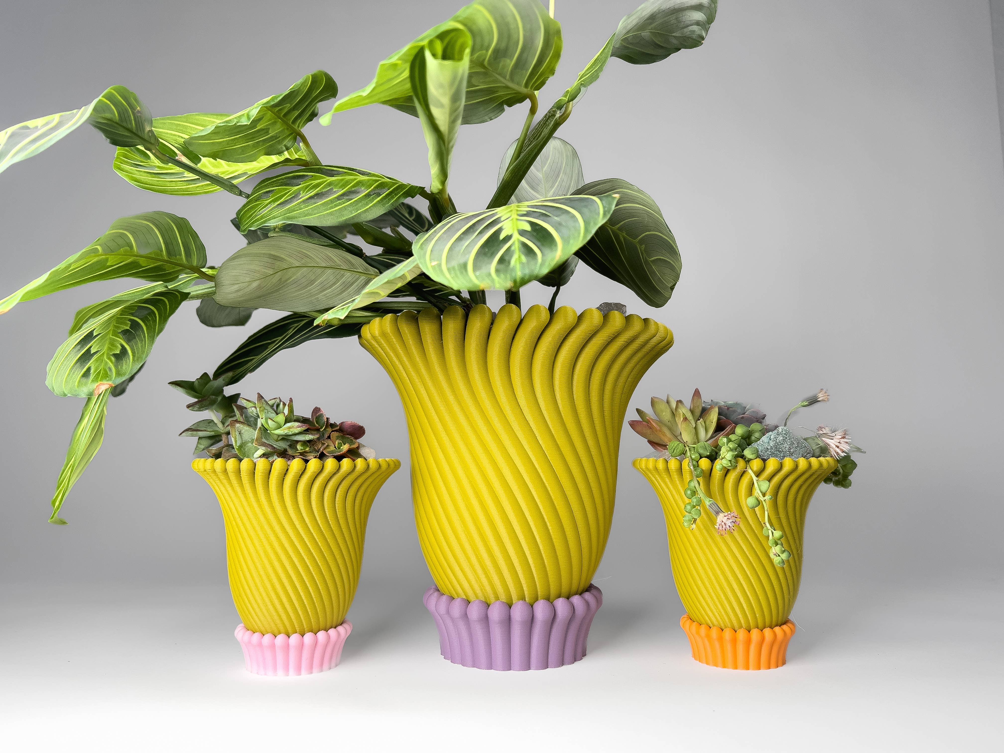 Object Lover - Wholesale Plant Pot - Anemone Planters - 5 and 6 Inch (6 Beautiful Colors!)6