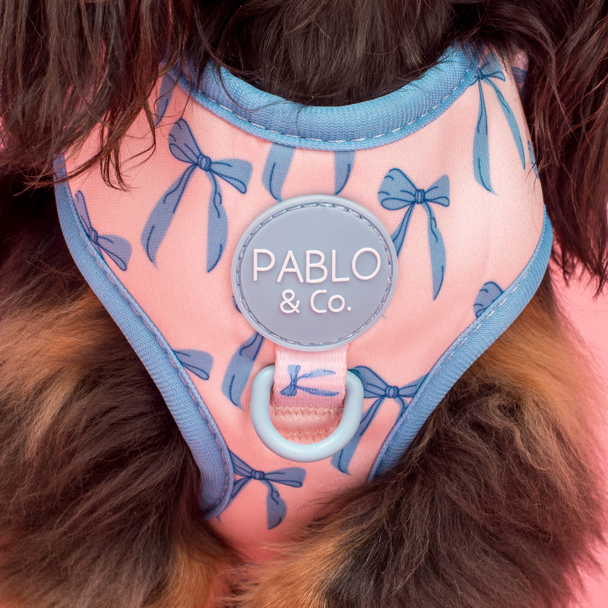 Pablo & Co. Boutique - Wholesale Pet Harness - Dog - Baby Blue Bows: Adjustable Dog Harness2