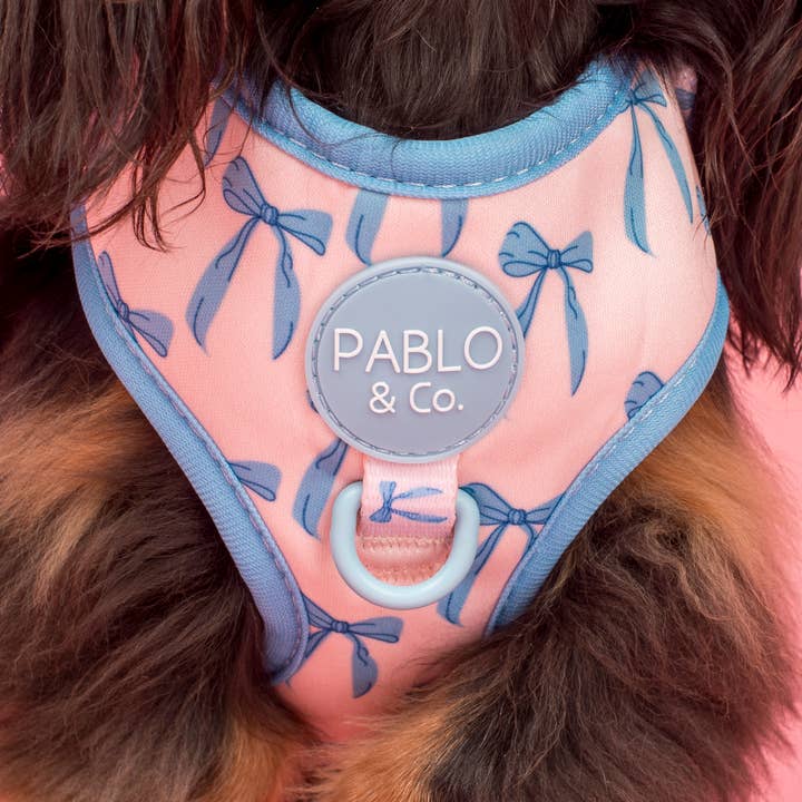Pablo & Co. Boutique - Wholesale Pet Harness - Dog - Baby Blue Bows: Adjustable Dog Harness2