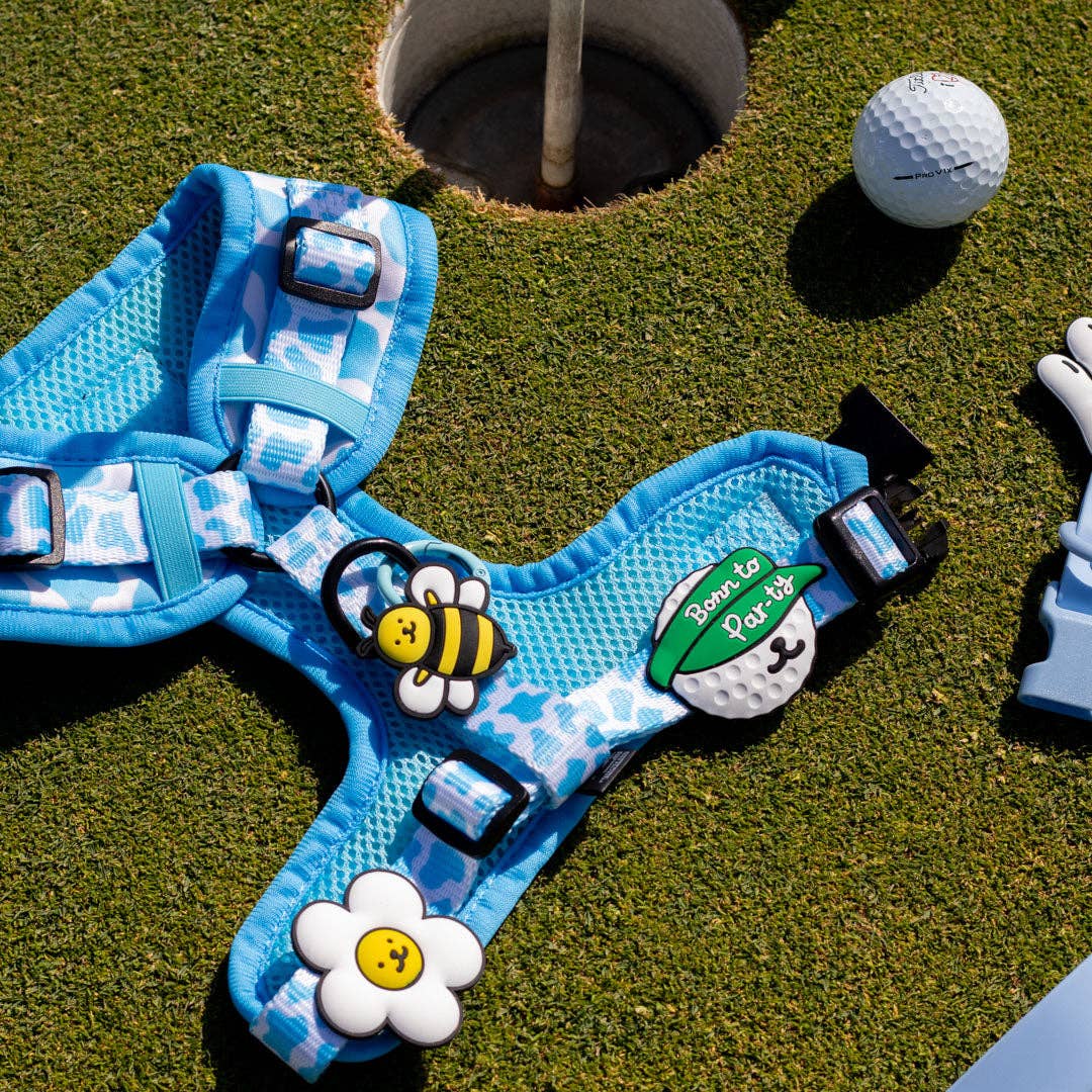 Jiby Dog Crew - Wholesale Pet Collar Charm - Cat/Dog - Par-ty Pete Golf Jiby Dog Charm4