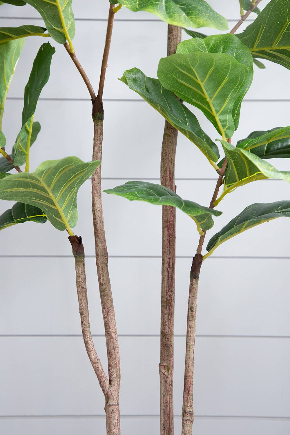 A&B Home Group Inc. – wholesale Artificial plant – 24x24x59"H Faux Fiddle Leaf Fig in Black Pot3
