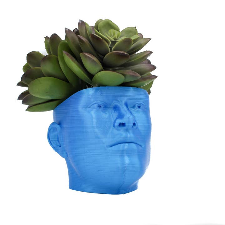 The "POT HEAD" Succulent Planter Vase | Plant your own Hairstyle for wholesale by Clever Contraptions