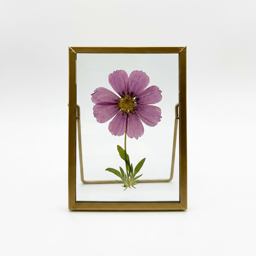 Sunnie Lane - Wholesale Desk/Tabletop Sign - Real Pressed Flower Frame - Beautiful Flower Art18