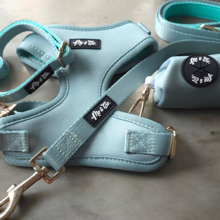 Set imbracatura per la vendita all'ingrosso da parte di Mo & Co.