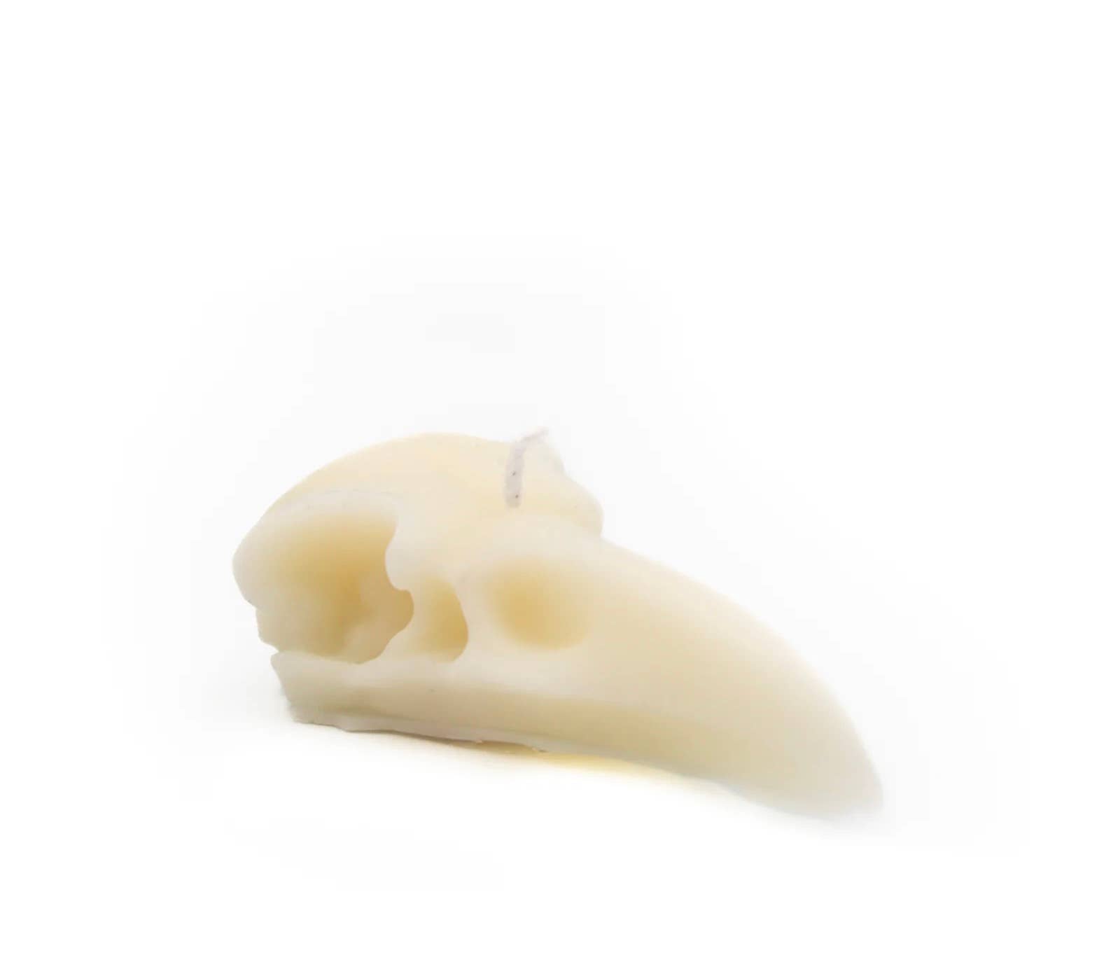 A Pleasant Thought - Wholesale Novelty Candle - RAVEN SKULL | PILLAR CANDLE2