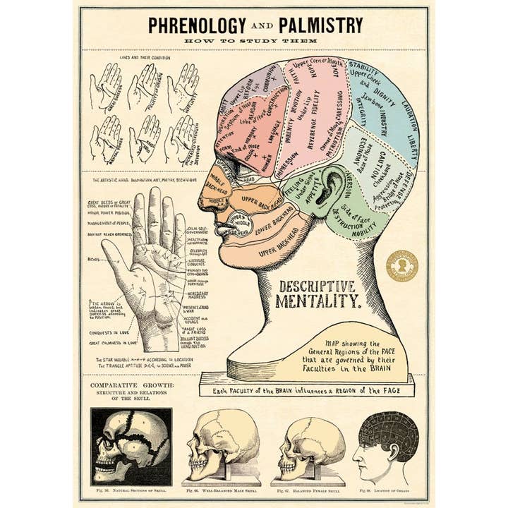 Bobangles - Wholesale Poster - Cavallini Poster/Gift Wrap - Phrenology and Palmistry