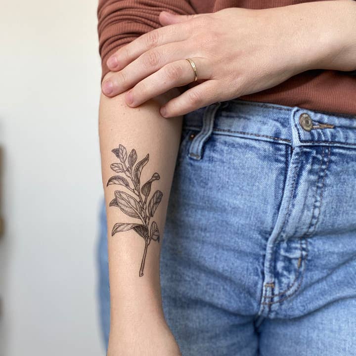 NatureTats - Wholesale Temporary Tattoo - Sage Sprig Temporary Tattoo